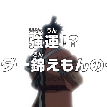 Episode 979 One Piece Wiki Fandom