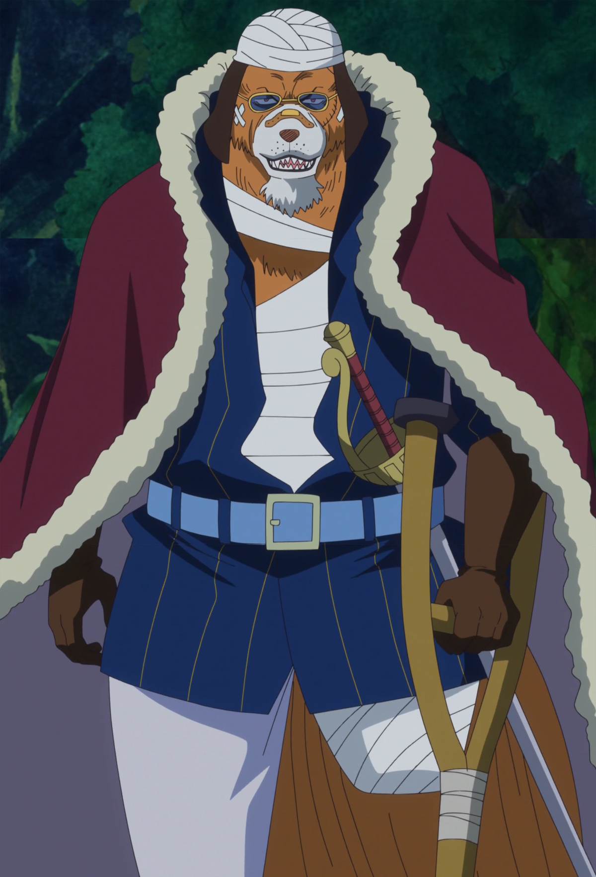 Inuarashi One Piece Wiki Fandom