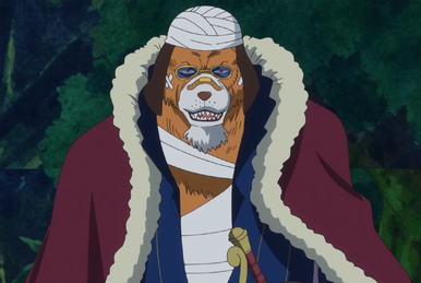 One Piece episode 1032: Cat Viper heads to the Live Floor, Sanji protects  Zoro, and Nami takes a stand