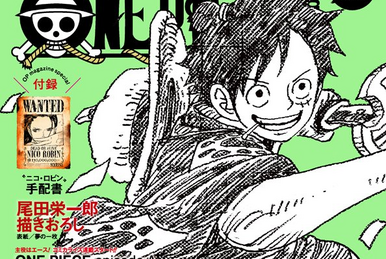 One Piece Magazine Vol.8 | One Piece Wiki | Fandom