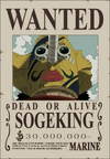 roronoa zoro wanted poster usopp