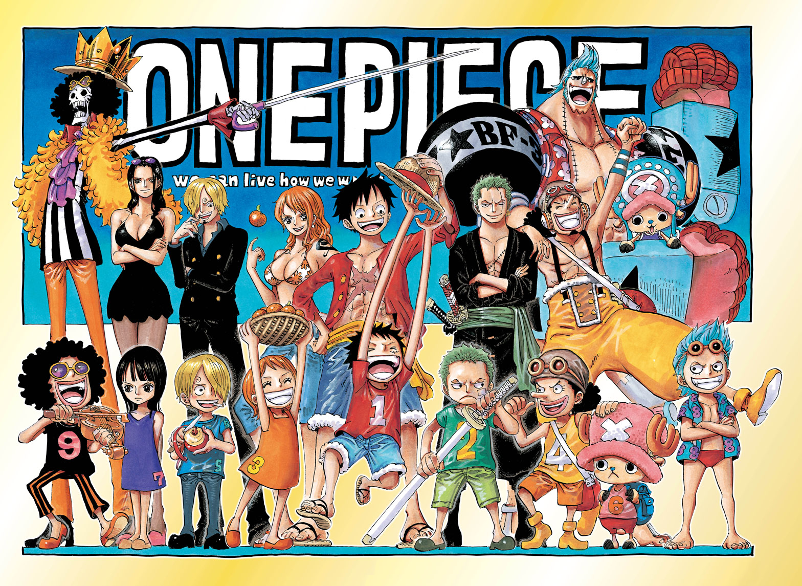 All of Luffy's crew : Straw Hat Pirates 10th Member