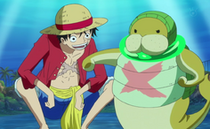 Luffy y Kung-Fu Dugongs