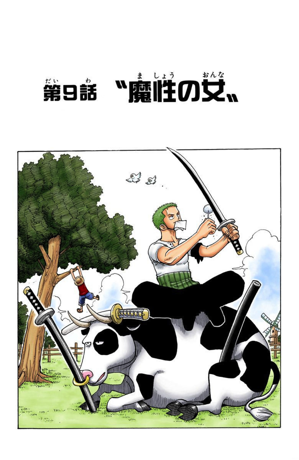 Глава 9 | One Piece Wiki | Fandom