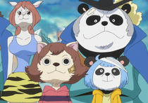 Mink Tribe One Piece Wiki Fandom