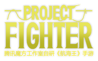 Project Fighter