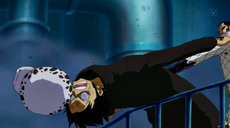 Vergo vs Trafalgar Law 2