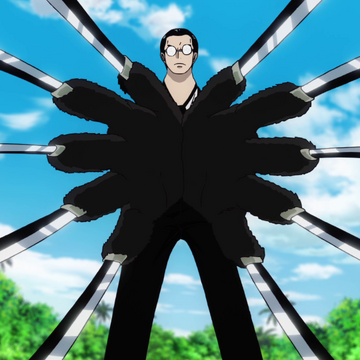 Cat Claws One Piece Wiki Fandom