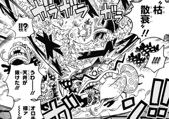 Shinobu One Piece Wiki Fandom