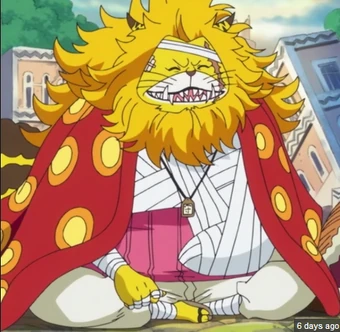 Nekomamushi Wikia One Piece Fandom