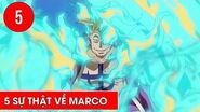 Top 5 điều thú vị về phượng hoàng Marco trong One Piece-1585123436