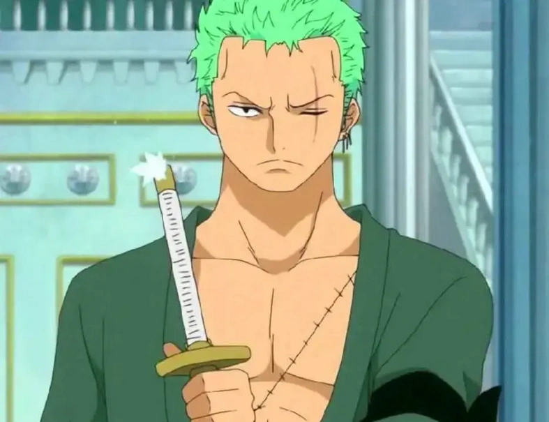 Roronoa Zoro One Piece Wiki Fandom