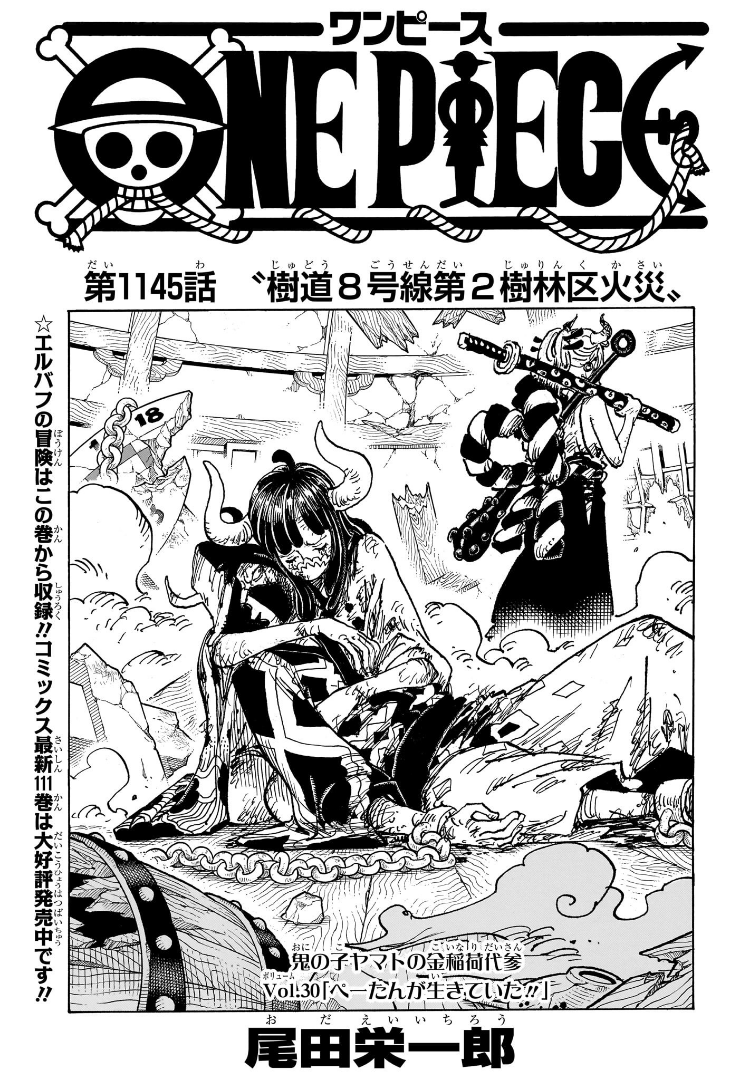 ONE PIECE漫画 Chapter 1145 | One Piece Wiki | Fandom