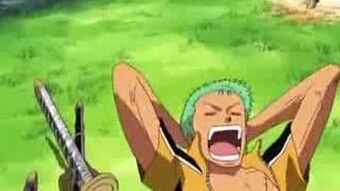 Brand New World One Piece Encyclopedie Fandom