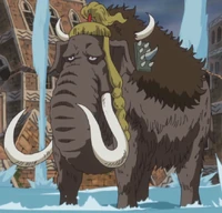 Zou Zou no Mi, Model: Mammoth | One Piece Wiki | Fandom