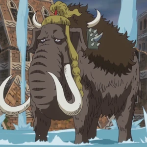 Discuss Everything About One Piece Wiki | Fandom