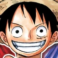 Monkey D. Luffy portrait
