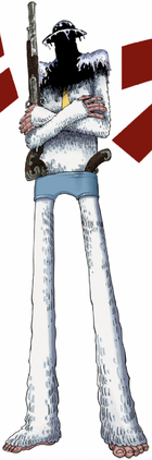 Yeti Cool Brothers One Piece Wiki Fandom