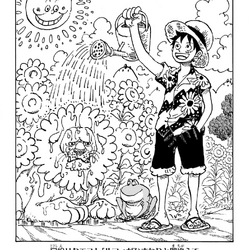 Volumen 107, One Piece Wiki