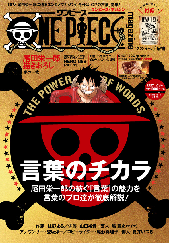 One Piece Magazine Vol.11 | One Piece Wiki | Fandom