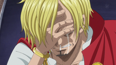 Sanji llora por las palabras de Luffy