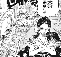 Nico Robin/History/During and After the Timeskip, One Piece Wiki