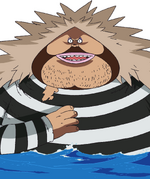 Sanjuan Wolf One Piece Wiki Fandom