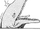 Brontosaurus Portrait.png