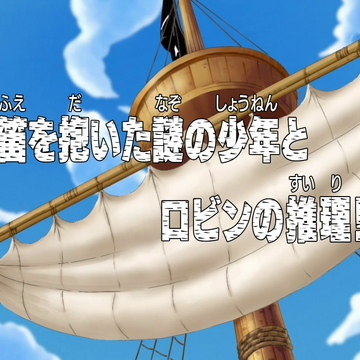 Episode 221 One Piece Wiki Fandom