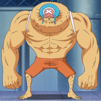 Tony Tony Chopper/Abilities and Powers, One Piece Wiki