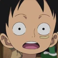 Monkey D. Luffy Child Portrait