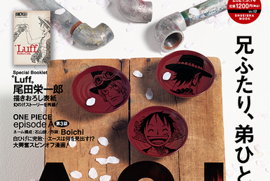 一心 on X: ONE PIECE Magazine 11 reveals the designs of the Akuma