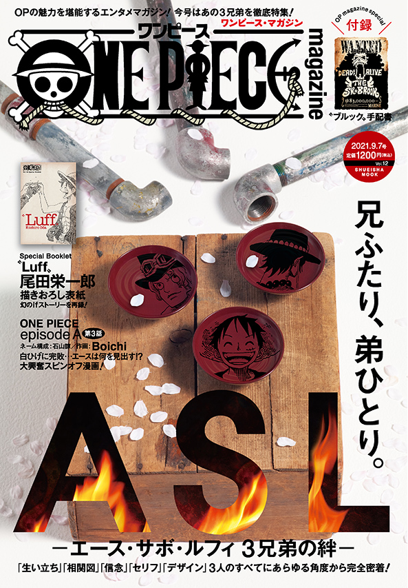 高品質の激安 ONE PIECE magazine Vol.15 ecousarecycling.com