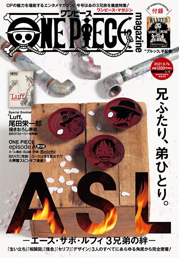 55%OFF!】 ONE PIECE magazine Vol.16 ecousarecycling.com