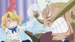 Zef educa Sanji