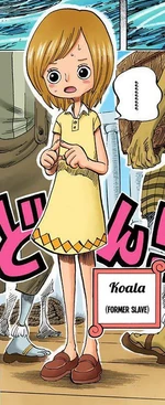 Коала после того, как Пираты Солнца нашли ей платье и сделали новую причёску.