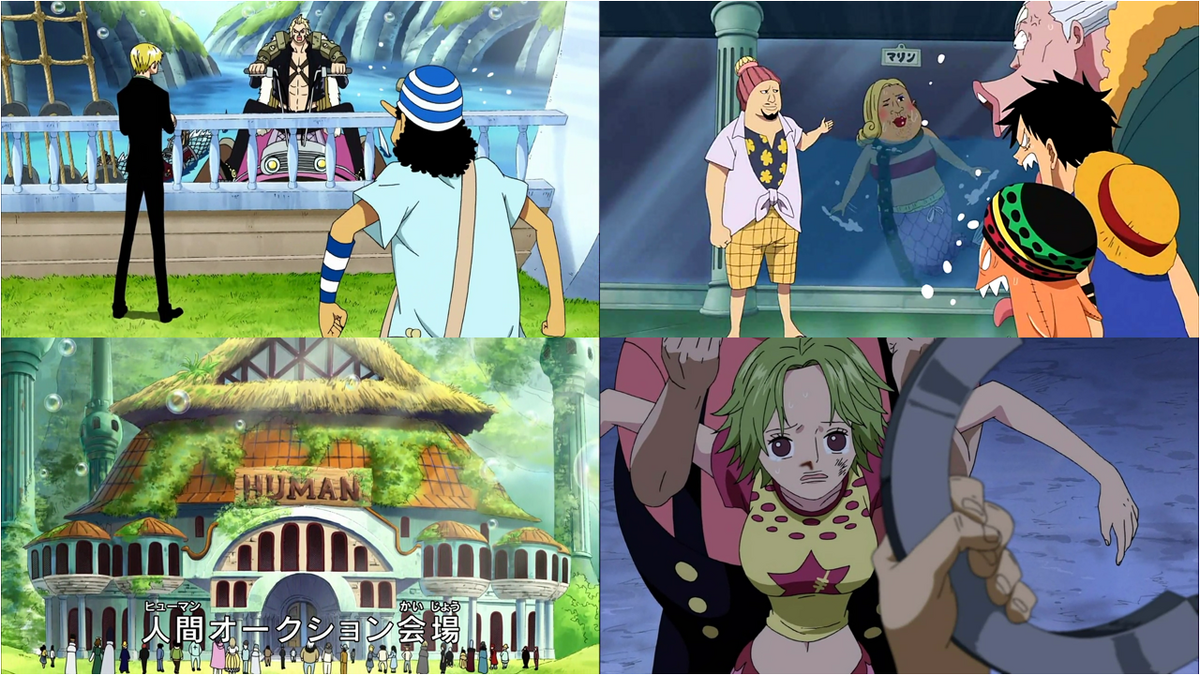 Episodio 394: Una sirena da salvare | One Piece Wiki Italia | Fandom