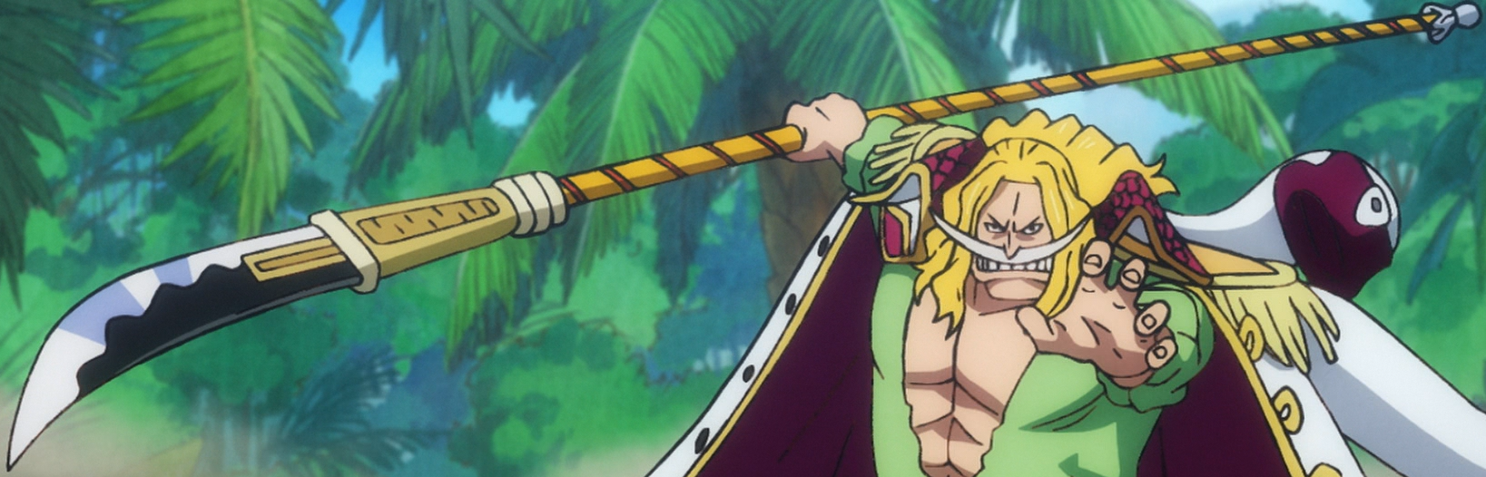Strongest Character That Whitebeard Defeats Without the Gura Gura