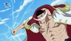 エドワード ニューゲート One Piece Wiki Fandom