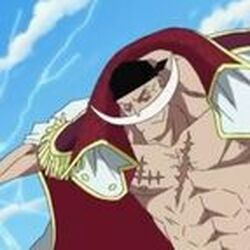 カテゴリ 白ひげ海賊団 One Piece Wiki Fandom