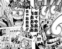 Chapter 742 One Piece Wiki Fandom Chapter 742 One Piece Wiki Fandom
