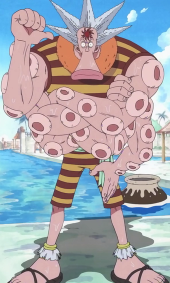 Octo One Piece Encyclopedie Fandom