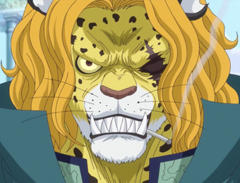 Pedro One Piece Wiki Fandom