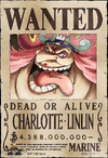 Wanted Posters One Piece Wiki Fandom