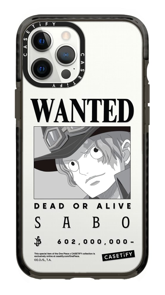 One Piece x Casetify | One Piece Wiki | Fandom