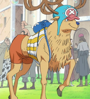 Chopper nella sua forma animale