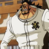 Jean Bart One Piece Wiki Fandom