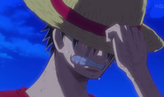 Luffy llora por el abandono de Usopp.
