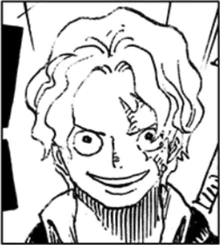 Sbs Tome One Piece Encyclopedie Fandom Sbs Tome One Piece Encyclopedie Fandom