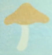 Taoiake